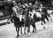 Horse ball / 30 August 2014 - © Sindy Thomas
