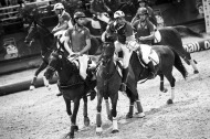Horse ball / 30 August 2014 - ©Sindy Thomas