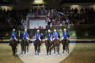 Horse ball / 30 August 2014 - ©Sindy Thomas