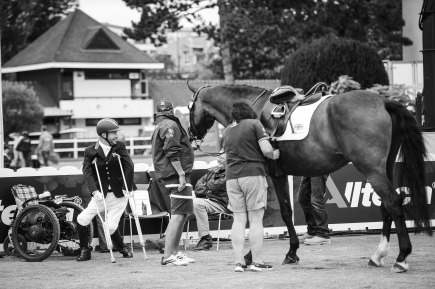 Para-dressage - August 29th - © Sindy Thomas