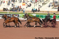 Thibault Coudry  - ©PSV Photos