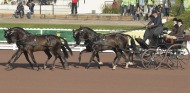 Ijsbrand Chardon (NED)  - ©PSV Photos