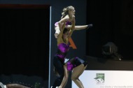 Vaulting team final - ©PSV Photos