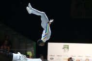 Vaulting team final - ©PSV Photos