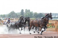 Driving - Marathon - ©PSV Photos