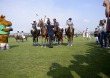 Norman supporter du Polo - © Sindy Thomas
