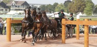 Misdee Wrigley-Miller - Driving Marathon - ©PSV Photos