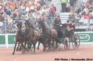 714 - Thibault Coudry - FRA- Cones Driving  - ©CO Normandie 2014/PSV