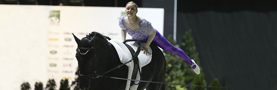 Vaulting